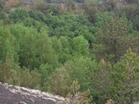 Monte_Rinatu - 20110615 109.jpg